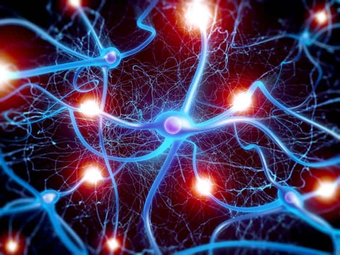 Laser mimics biological neurons using light – Physics World