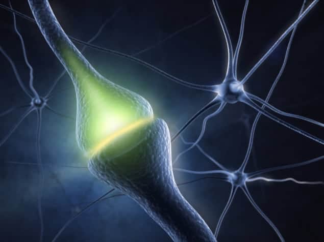 Illustration of a nerve cell