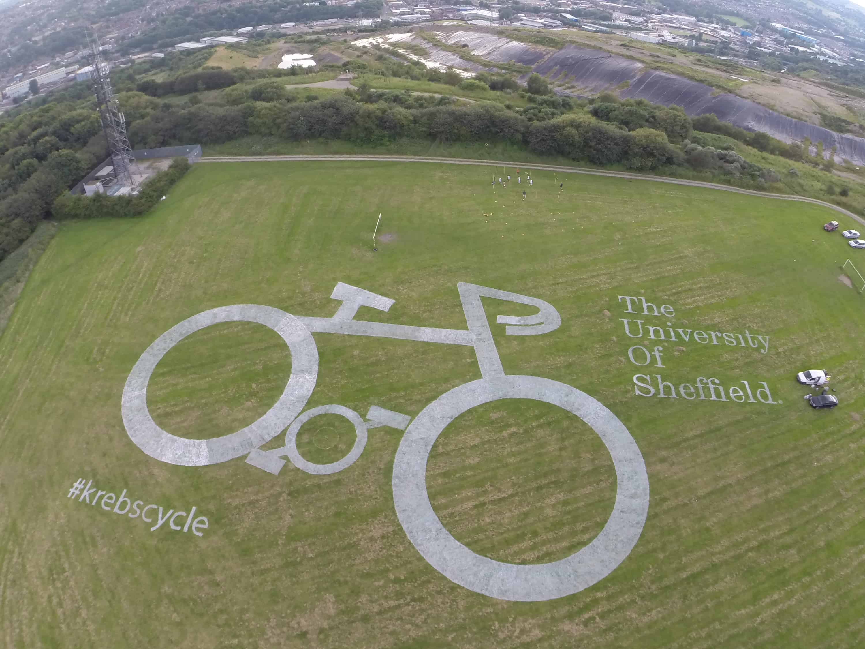 Celebrating the Tour de France and Hans Krebs in Sheffield (Courtesy: University of Sheffield)