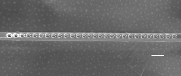 A scanning electron microscope image of a diamond photonic cavity A scanning electron microscope image of a diamond photonic cavity