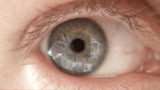 Human eye