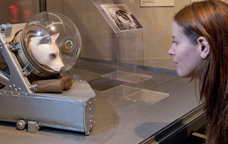 Photo of a dog ejector seat and suit as used on suborbital rocket flights