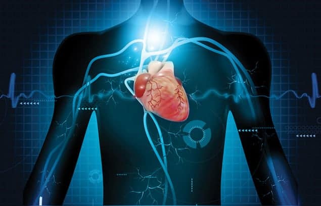 Artistic illustration of a human torso, showing a red heart in the centre from which blood vessels emanate and branch out through the body. Superimposed is a graphical trace Artistic illustration of a human torso, showing a red heart in the centre from which blood vessels emanate and branch out through the body. Superimposed is a graphical trace