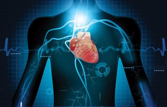 Artistic illustration of a human torso, showing a red heart in the centre from which blood vessels emanate and branch out through the body. Superimposed is a graphical trace