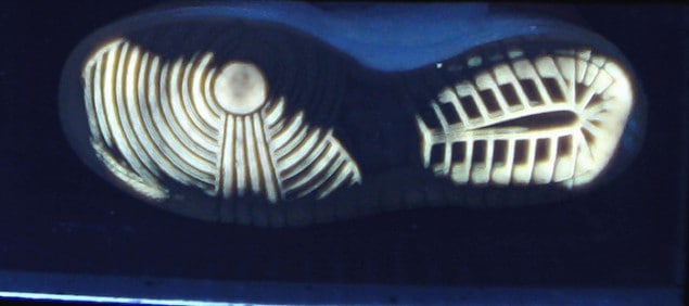 Total-internal-reflection image of a shoeprint