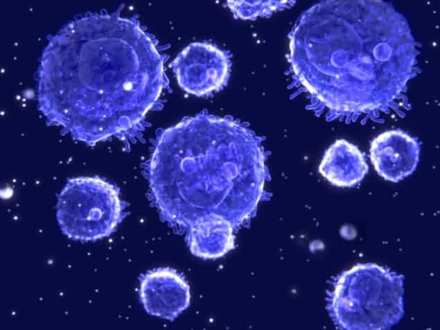 Microscope image of a cluster of lymphocyte cells