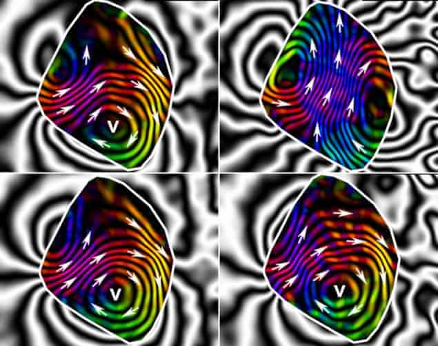 Visualization of the thermomagnetic behaviour of magnetite grains