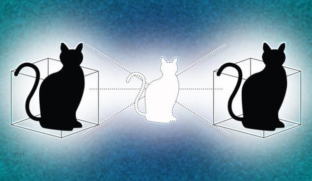 Illustration of Schodinger's cat in two boxes Illustration of Schodinger's cat in two boxes