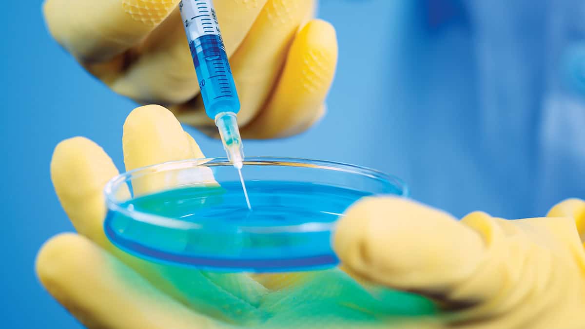 Syringe and petri dish