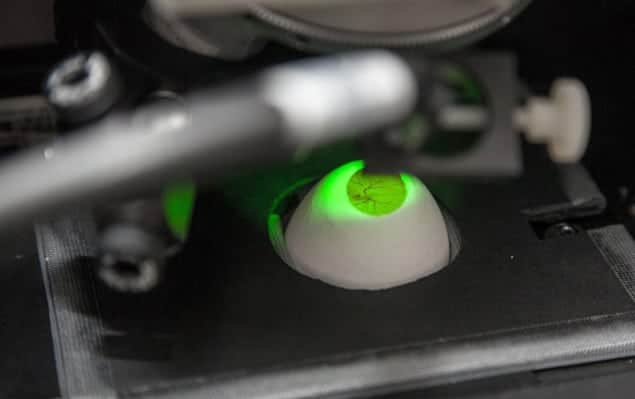 Photograph showing the interior of an egg being illuminated by laser light