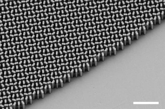 SEM image of the silicon nanofins