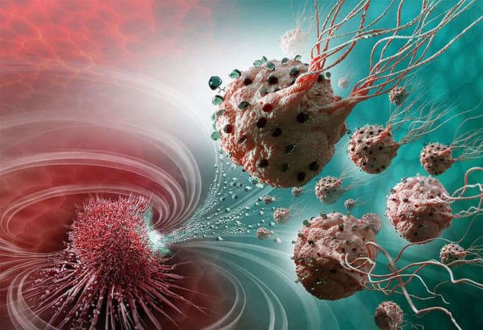 Artist's impression of MC-1 bacteria carrying cancer drugs to a tumour
