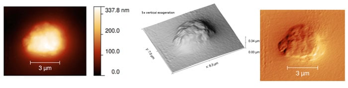 Scan of a calcite grain