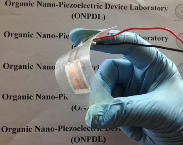 Photograph of a piezoelectric generator made from fish scales Photograph of a piezoelectric generator made from fish scales