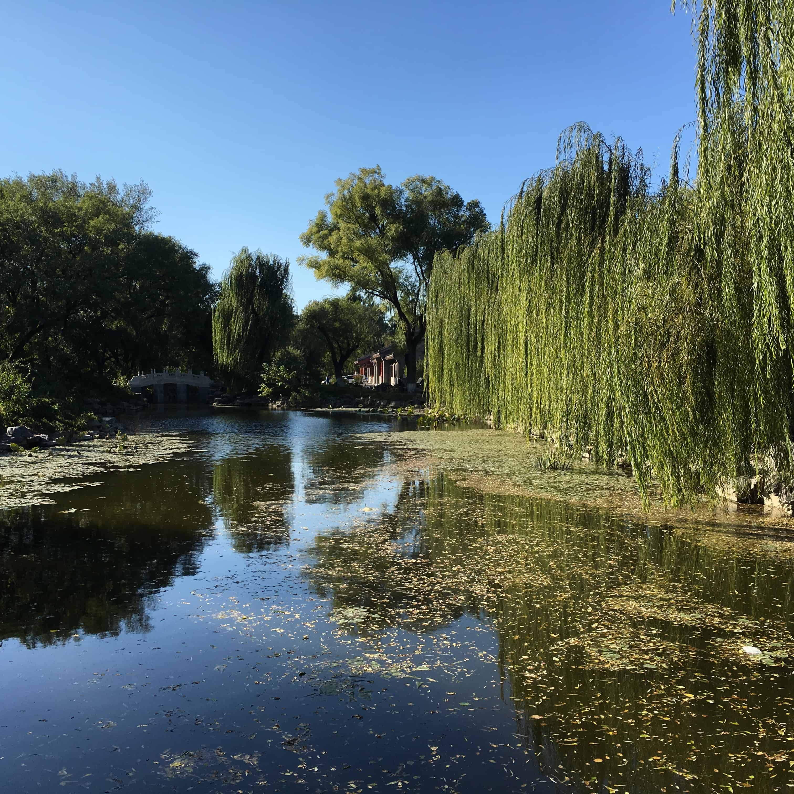 Peking University campus