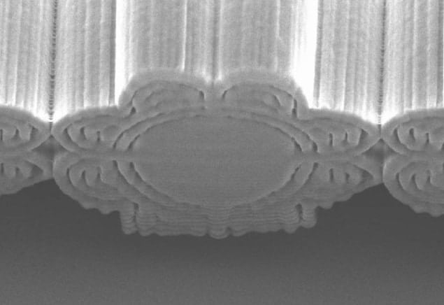 Electron micrograph of the material with structural colour