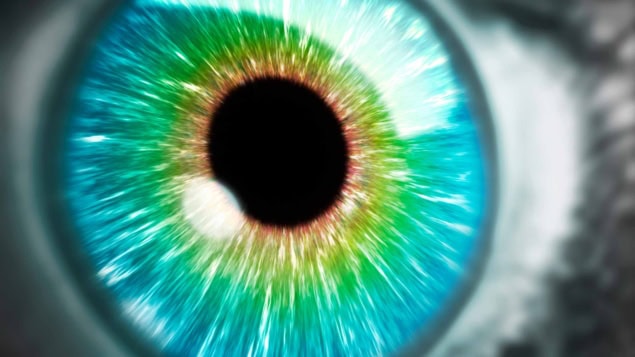 Human iris Human iris