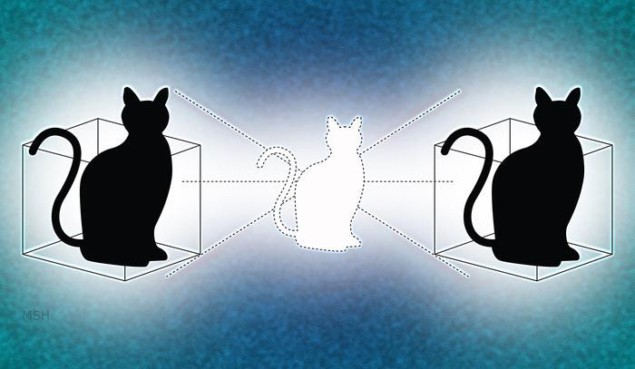 Illustration of Schrodinger