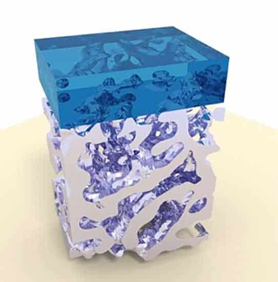 Cross-section of the optical metamaterial