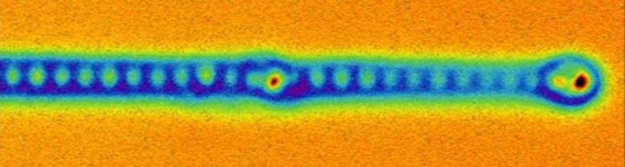 Atomic force microscope image of a Majorana fermion
