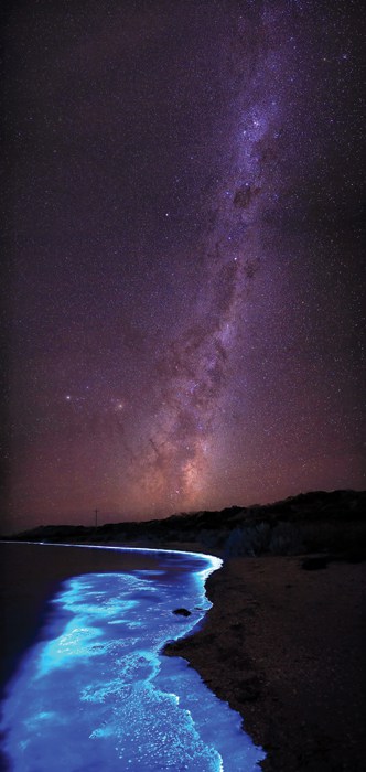 Photograph of the Milky Way and bioluminescent phytoplankton by Arwen Dyer in Tasmania