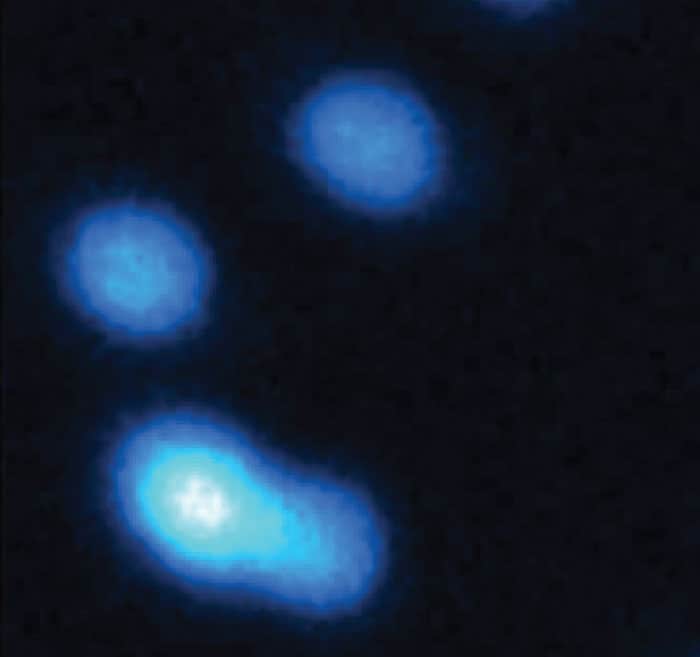 Stimulated emission depletion microscopy images of UCNPs