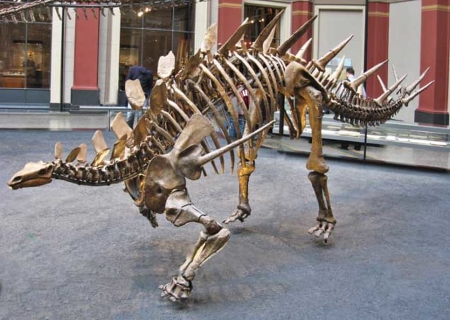 Deducing how dinosaurs moved – Physics World