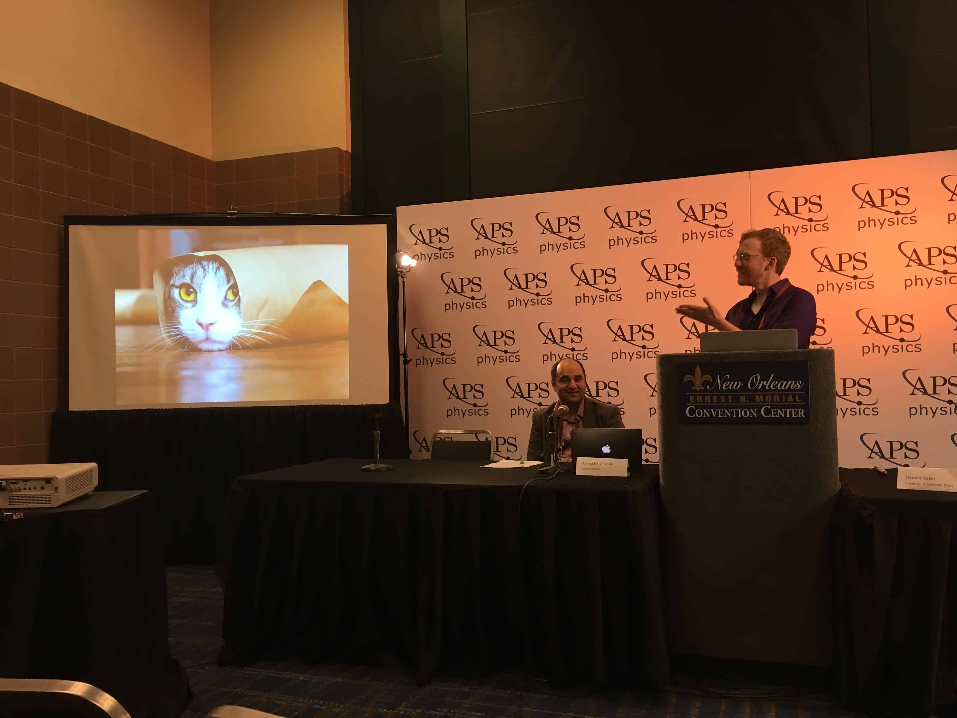 Cats and DFT: Thomas Baker chats about machine learning and DFT (Courtesy: Sarah Tesh)