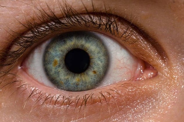 Photograph of a human eye