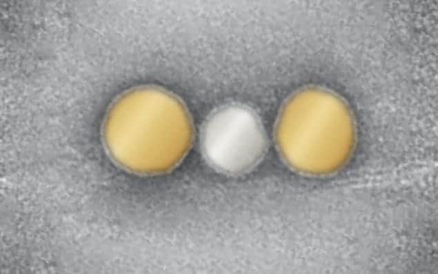 Electron micrograph of a silver nanoparticle between two gold nanoparticles