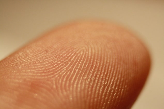 photo of fingerprint photo of fingerprint