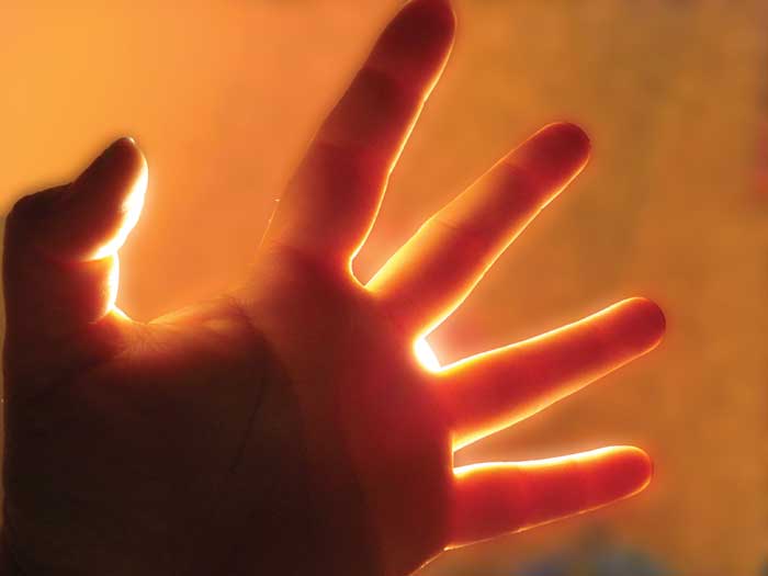 Photo of a person's hands, backlit by a strong light, such that the outer layers of skin appear semi-translucent