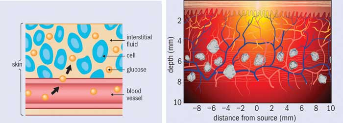 Just beyond our fingertips – Physics World