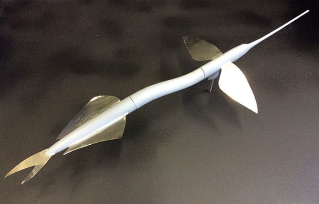 Photograph of the 3D printed model resembling the ribbon halfbeak fish