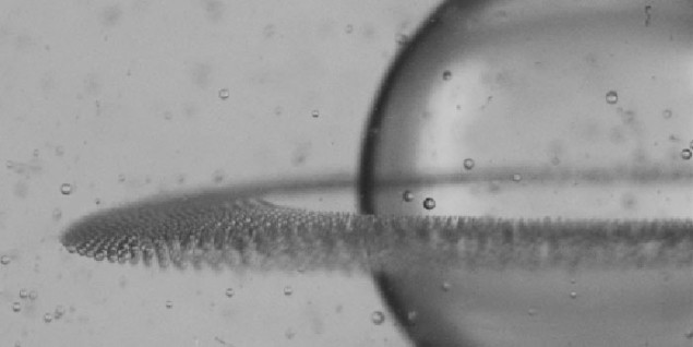 Photograph of a drop of castor oil surrounded by a ring of droplets