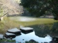 An area of tranquility at the University of Tokyo