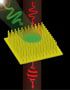 Illustration of how an array of gold nanorods can shift the polarization of a light pulse