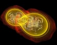 Artist's impression of merging neutron stars