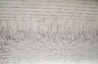 A photograph of seismic traces recorded at Weston Observatory in Massachusetts, US, showing ground motion caused by the 2011 Tohoku earthquake.