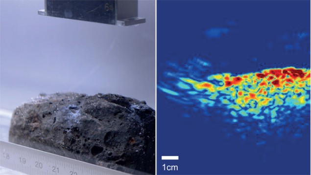 Photograph (left) and ultrasonic image (right)