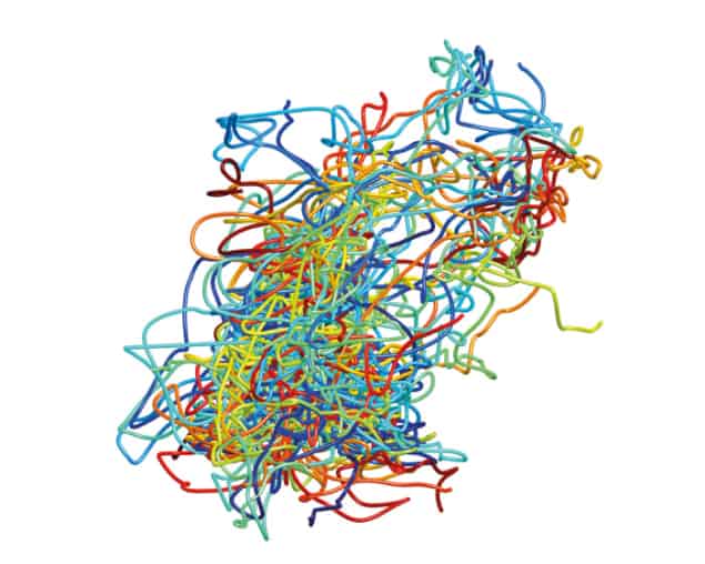 Trajectories of 30 midges tracked over 20 seconds