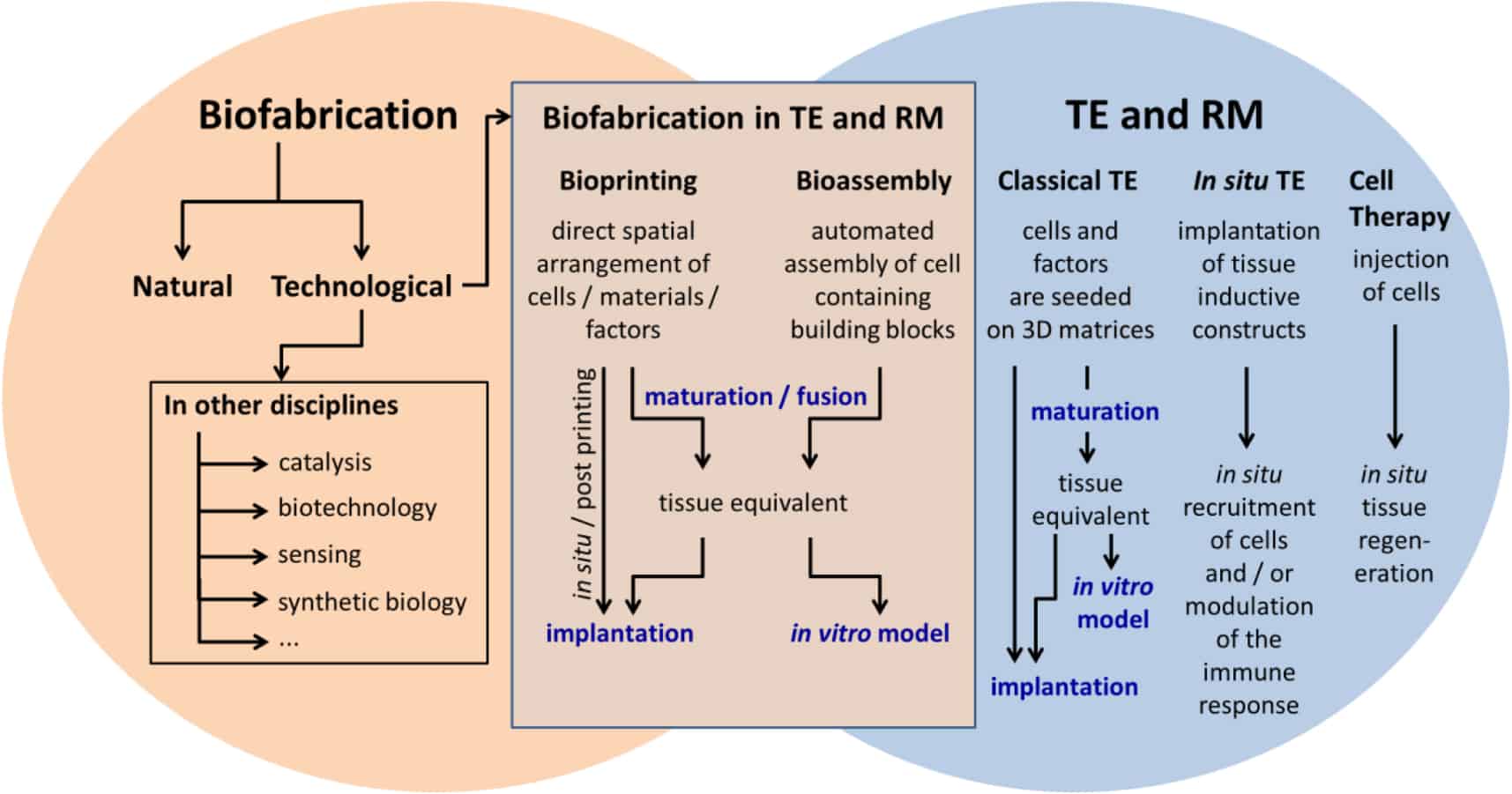 PDF) Regulatory Landscape of Regenerative Medicine in Japan