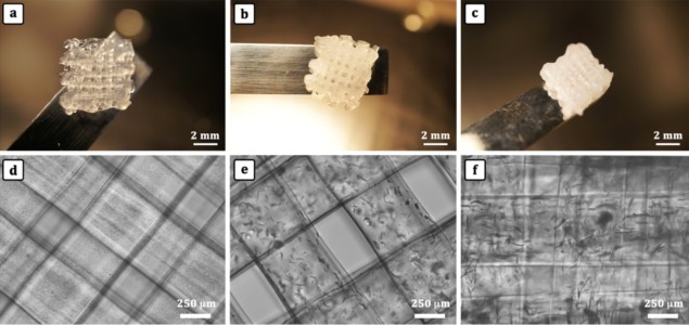 Images and micrographs of 3D printed scaffolds