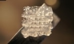 Image of a 3D printed scaffold