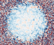 Image of atoms in the optical lattice