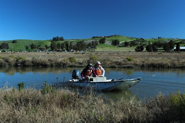 Assessing a threatened wetland