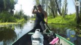 Boating among chinampas in Mexico City