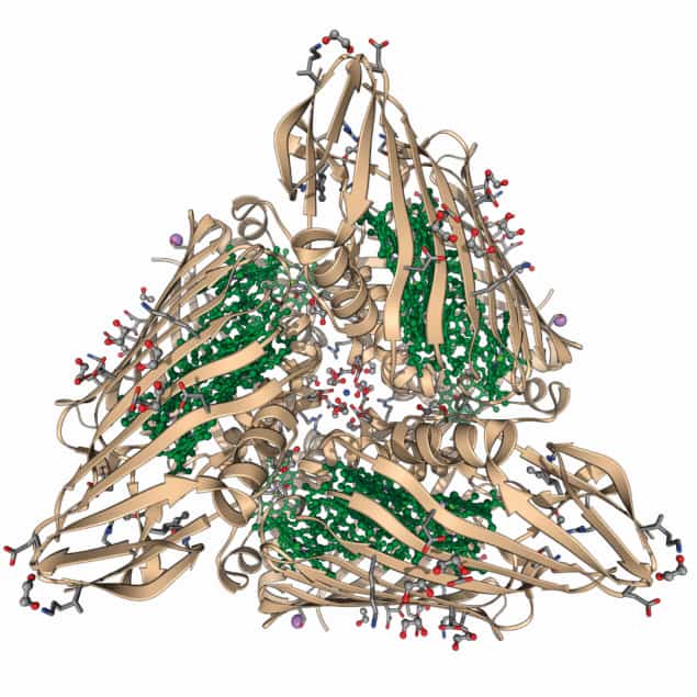 Illustration of the reaction centre