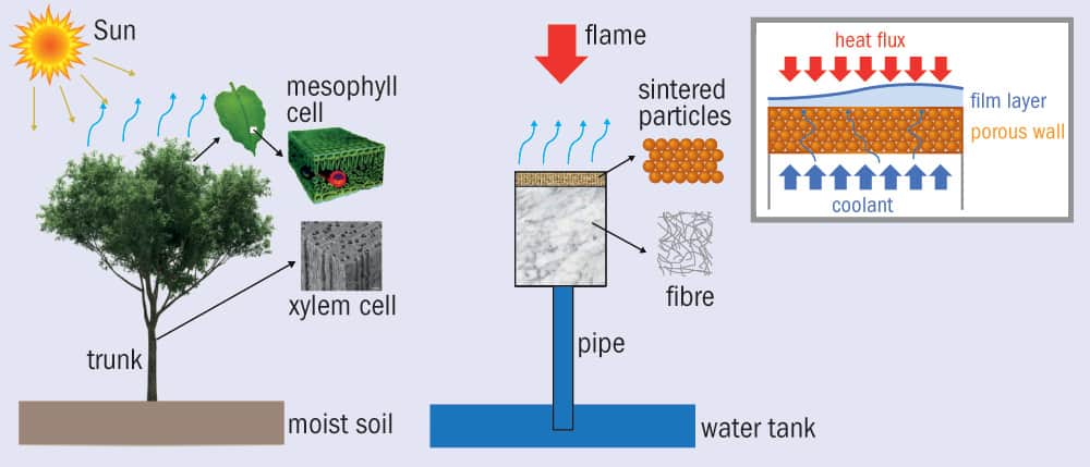 Schematic of self-pumping transpiration cooling for the sintered