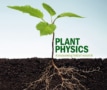 Physics World April 2018 plant physics special